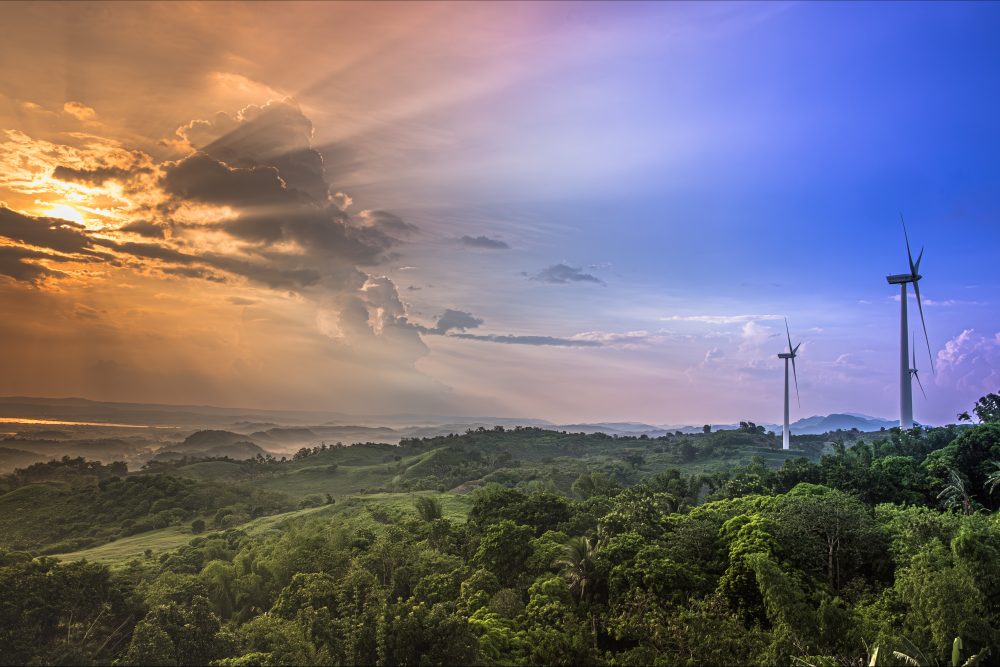 Photographers Photos 2