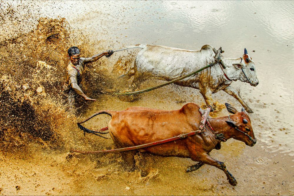 Photographers Photos 3